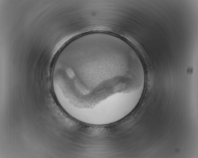 X0000113230886200910081403