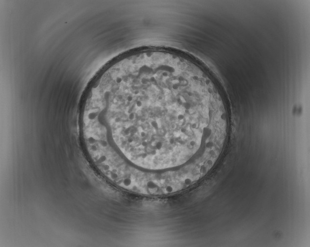 X0000113230887200910081403