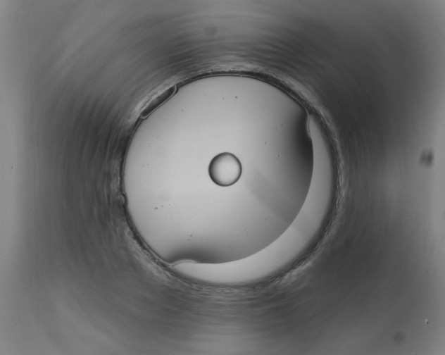 X0000113230889200910081403