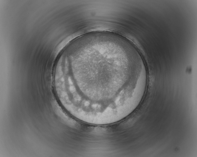 X0000113230890200910081403