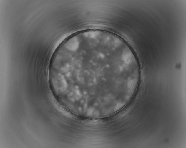 X0000113230891200910081403