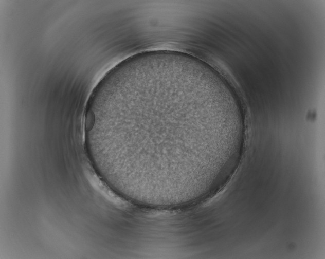 X0000113230892200910081403