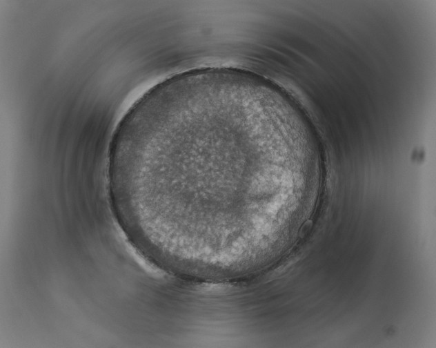 X0000113230894200910081403