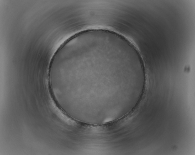 X0000113230895200910081403