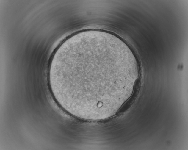 X0000113230896200910081403