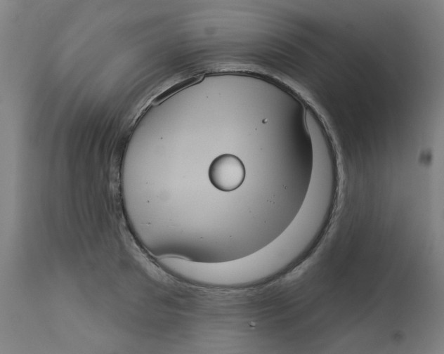 X0000113230897200910081403