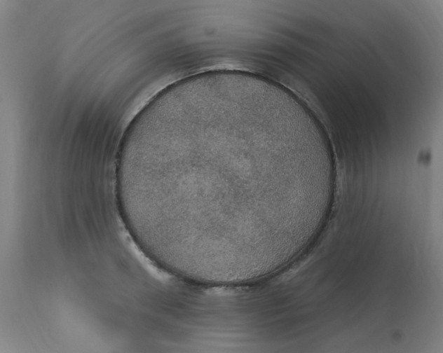 X0000113230898200910081403