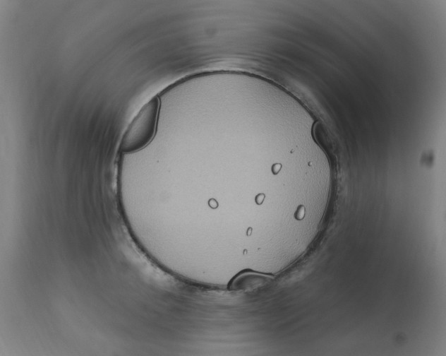 X0000113230900200910081403