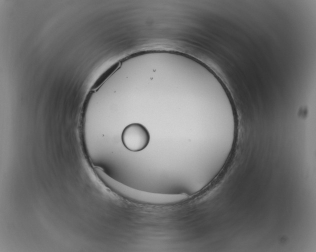 X0000113230901200910081403