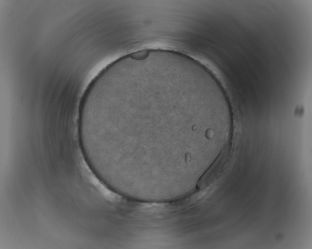 X0000113230902200910081403