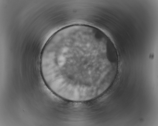 X0000113230903200910081403