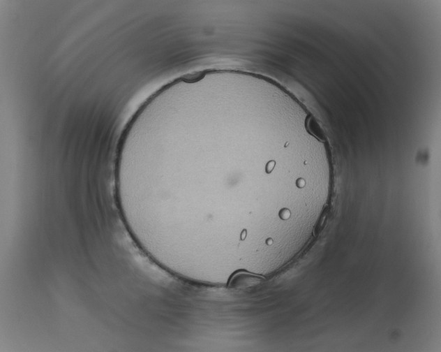 X0000113230904200910081403