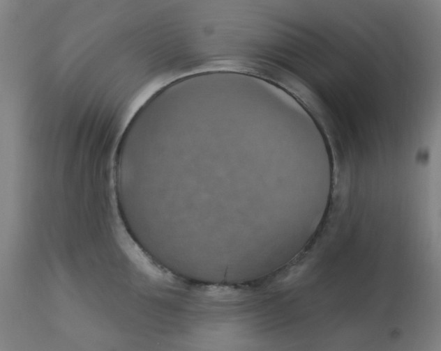 X0000113230907200910081403