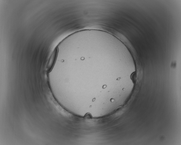 X0000113230908200910081403