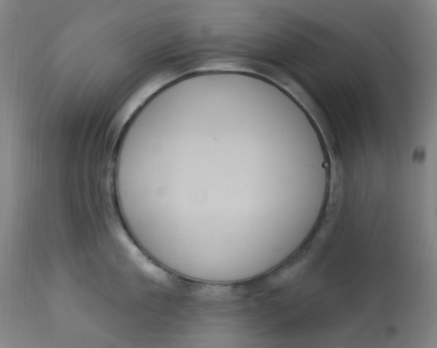 X0000113230909200910081403