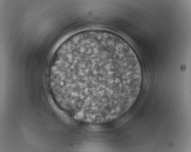 X0000113230911200910081402