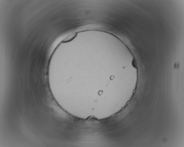 X0000113230912200910081402