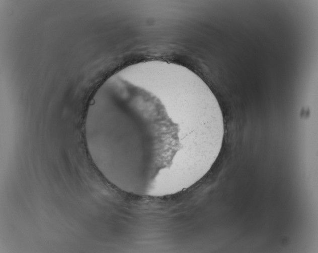 X0000113230913200910081402