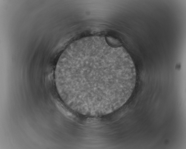 X0000113230914200910081402