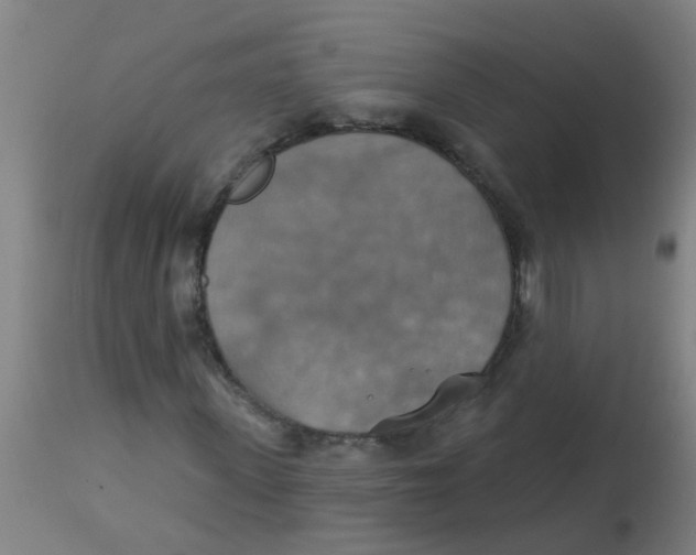 X0000113230915200910081402