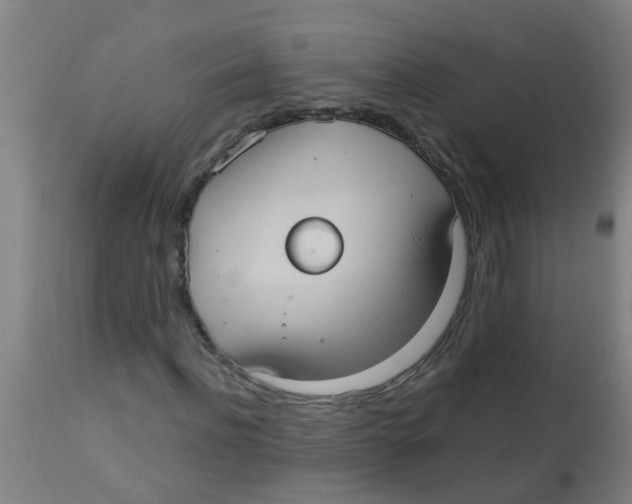 X0000113230916200910081402