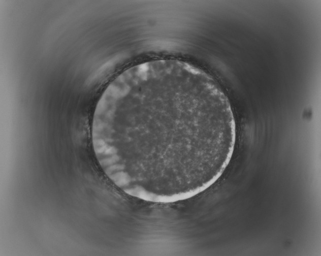 X0000113230918200910081402