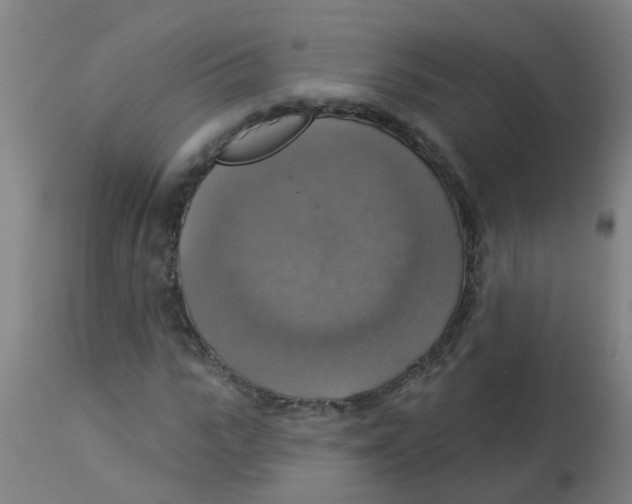 X0000113230919200910081402