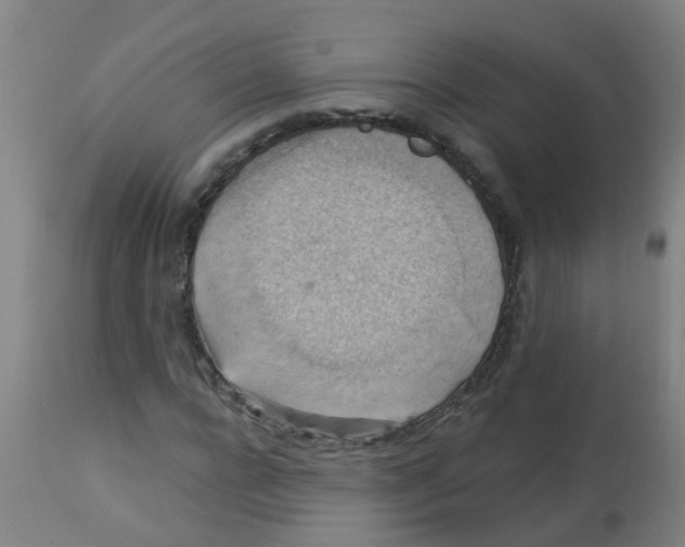 X0000113230920200910081402