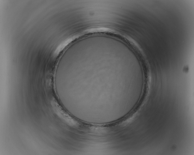 X0000113230921200910081402