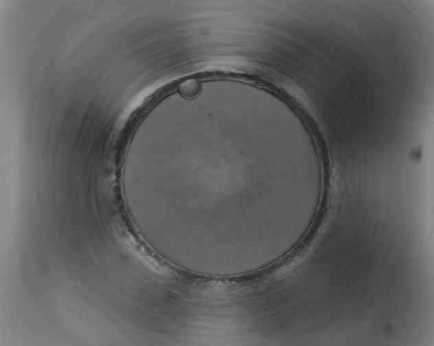 X0000113230923200910081402