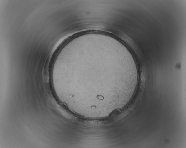 X0000113230924200910081402