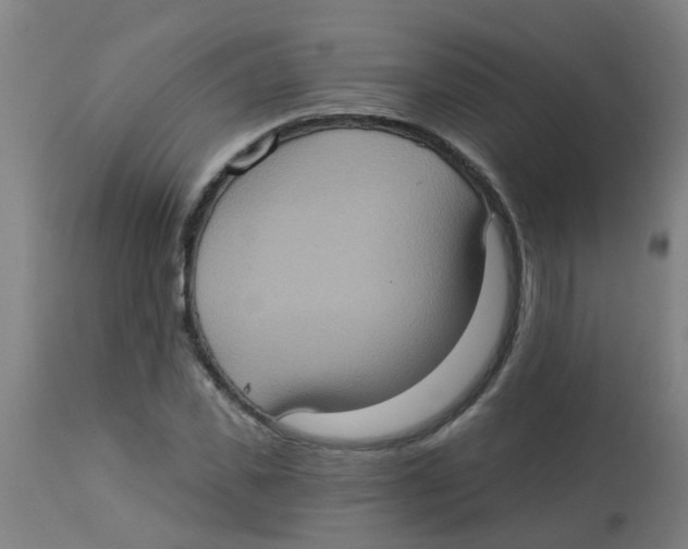 X0000113230925200910081402