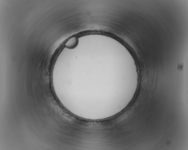 X0000113230927200910081402