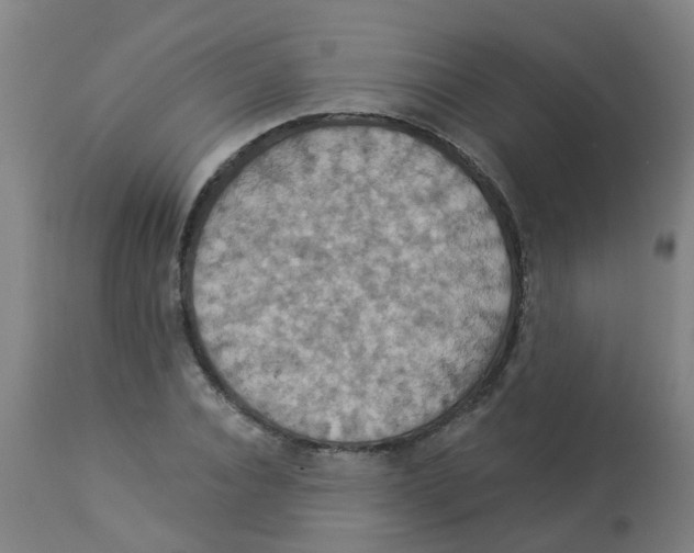 X0000113230928200910081402