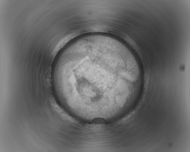 X0000113230930200910081402