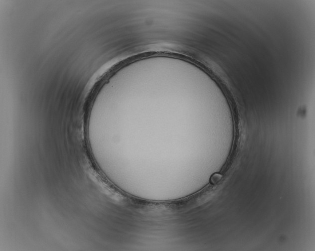 X0000113230931200910081402