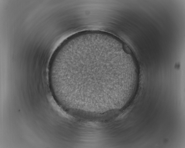 X0000113230932200910081402