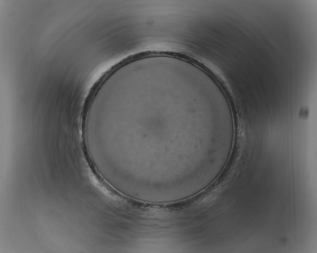 X0000113230935200910081402