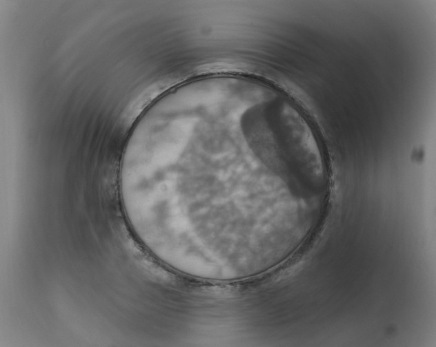 X0000113230937200910081402