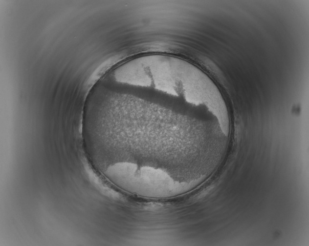 X0000113230938200910081402