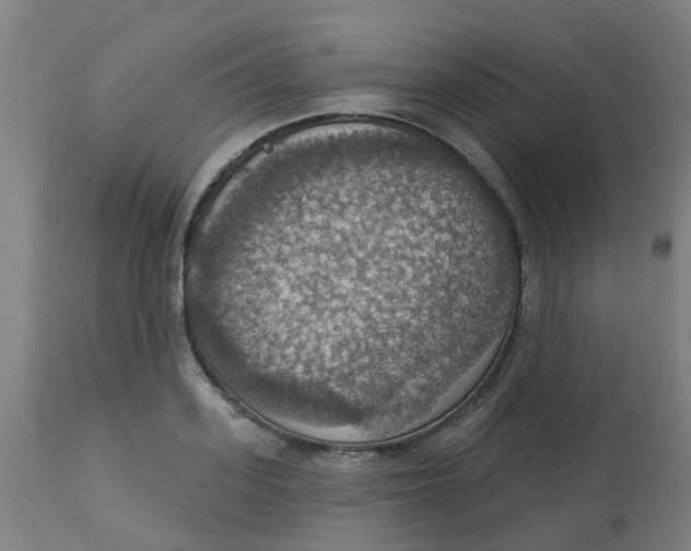 X0000113230939200910081402