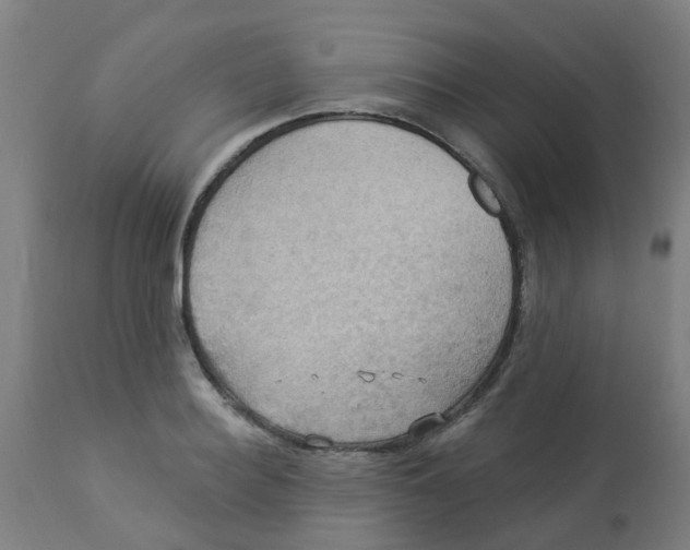 X0000113230940200910081402