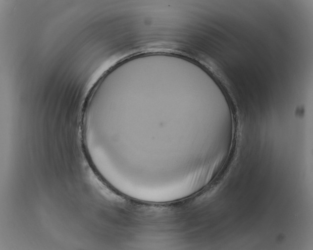 X0000113230941200910081402