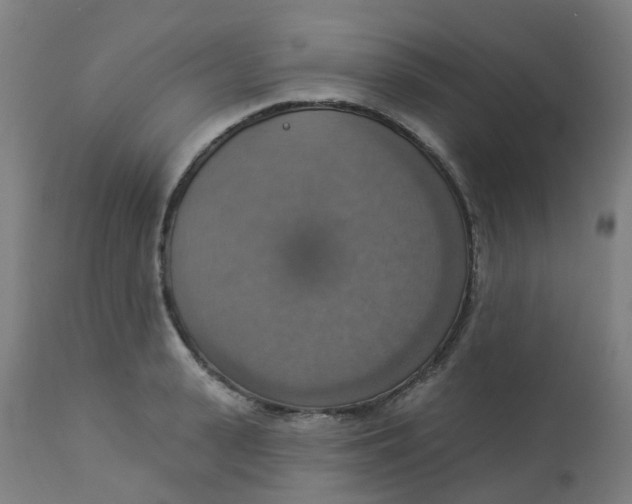 X0000113230943200910081402