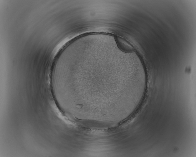 X0000113230944200910081402