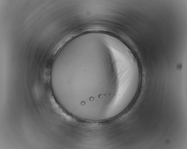 X0000113230945200910081402