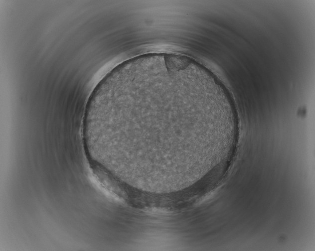 X0000113230946200910081402