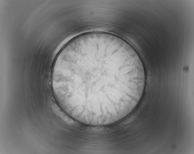 X0000113230948200910081402