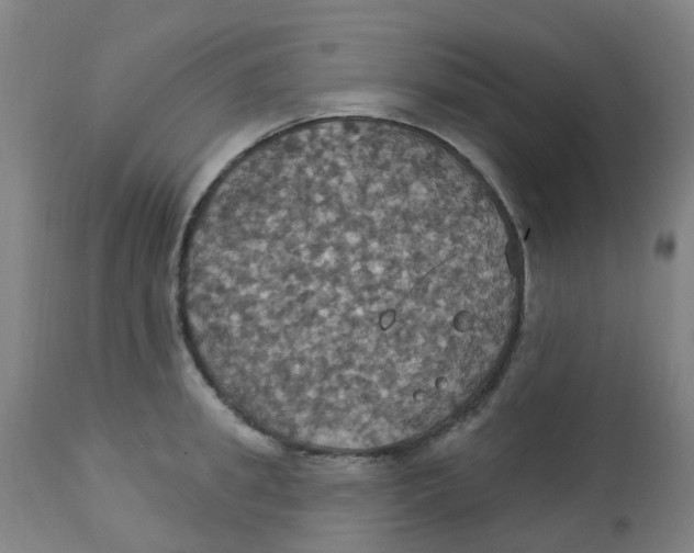 X0000113230949200910081402