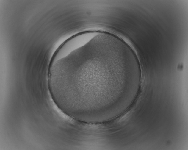 X0000113230951200910081402